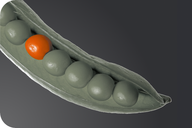 A red pea in a pod represents how advertising makes you stand out from the crowd. 